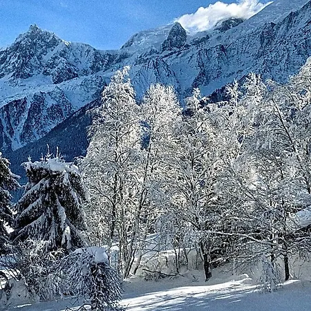 Chalet Vinales Les Houches